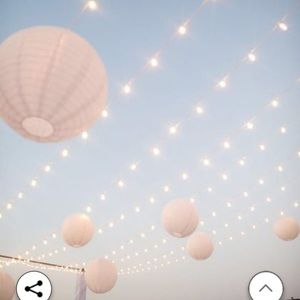 Meet your Posher, Shelby